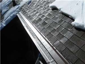 Gutterglove Ice Breaker or Icebreaker with the addition of heat panels.